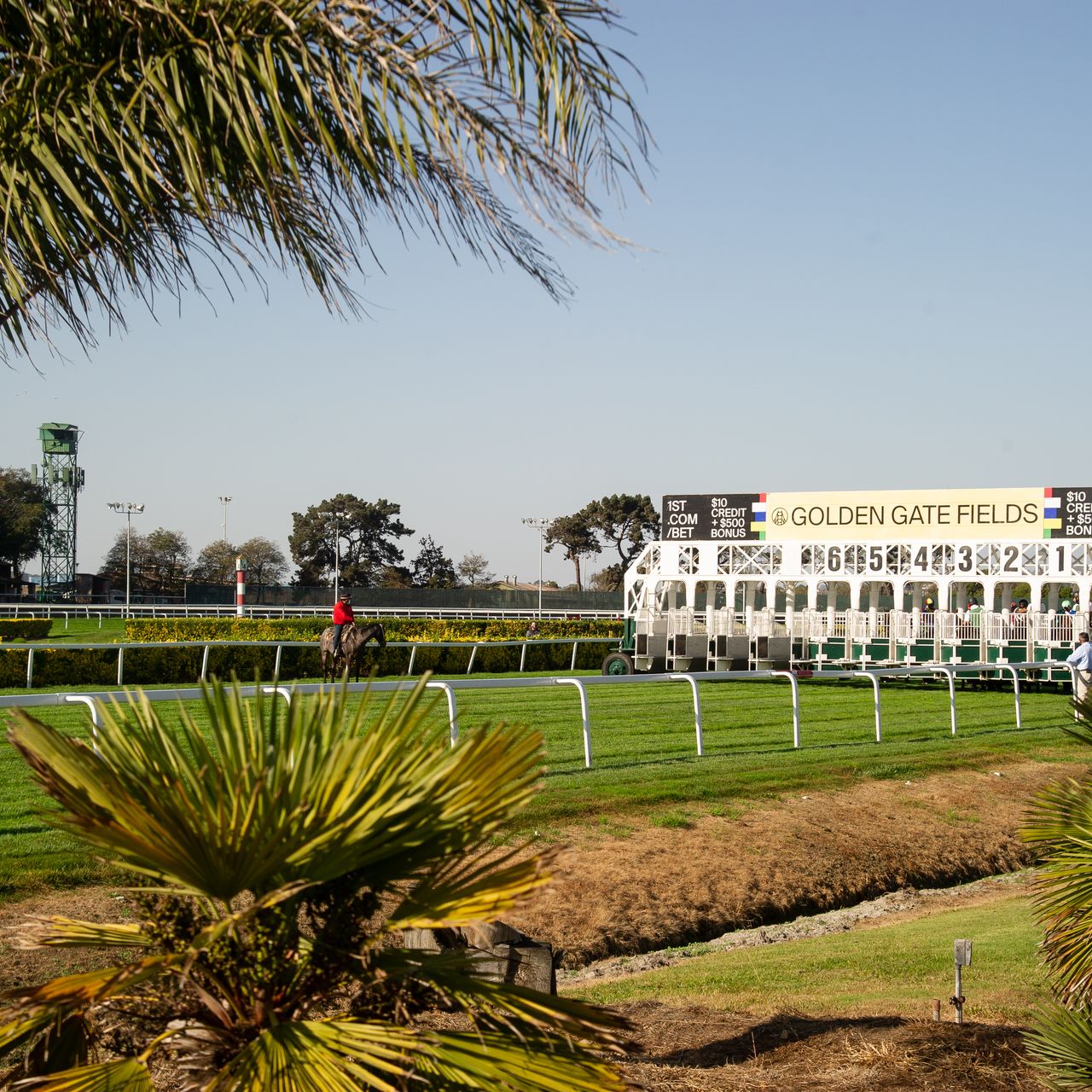 Are Dogs Allowed At Golden Gate Fields