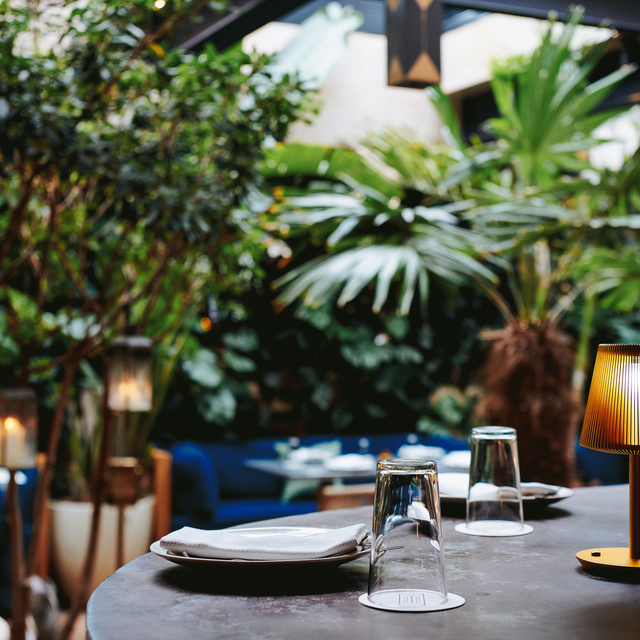 Gold Notting Hill Restaurant London, , England OpenTable