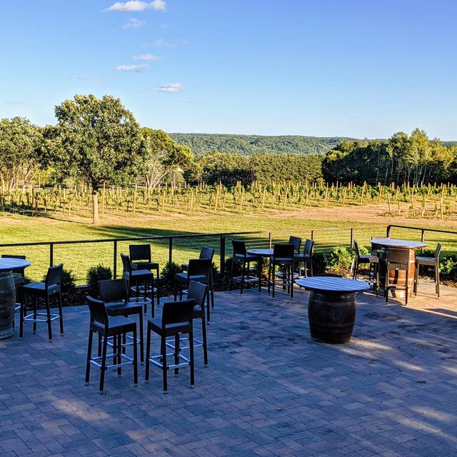 Rustic Roots Winery Updated 2024, Winery in Scandia, MN