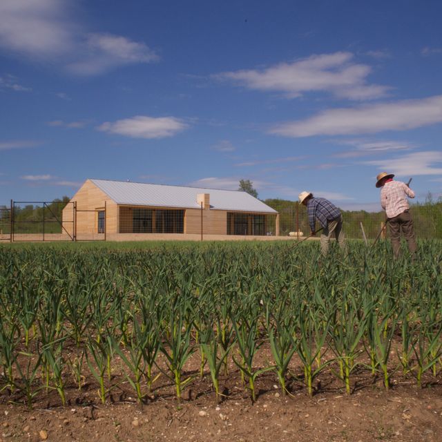 Farm Club Updated 2024, Farm To Table Restaurant in Traverse City, MI