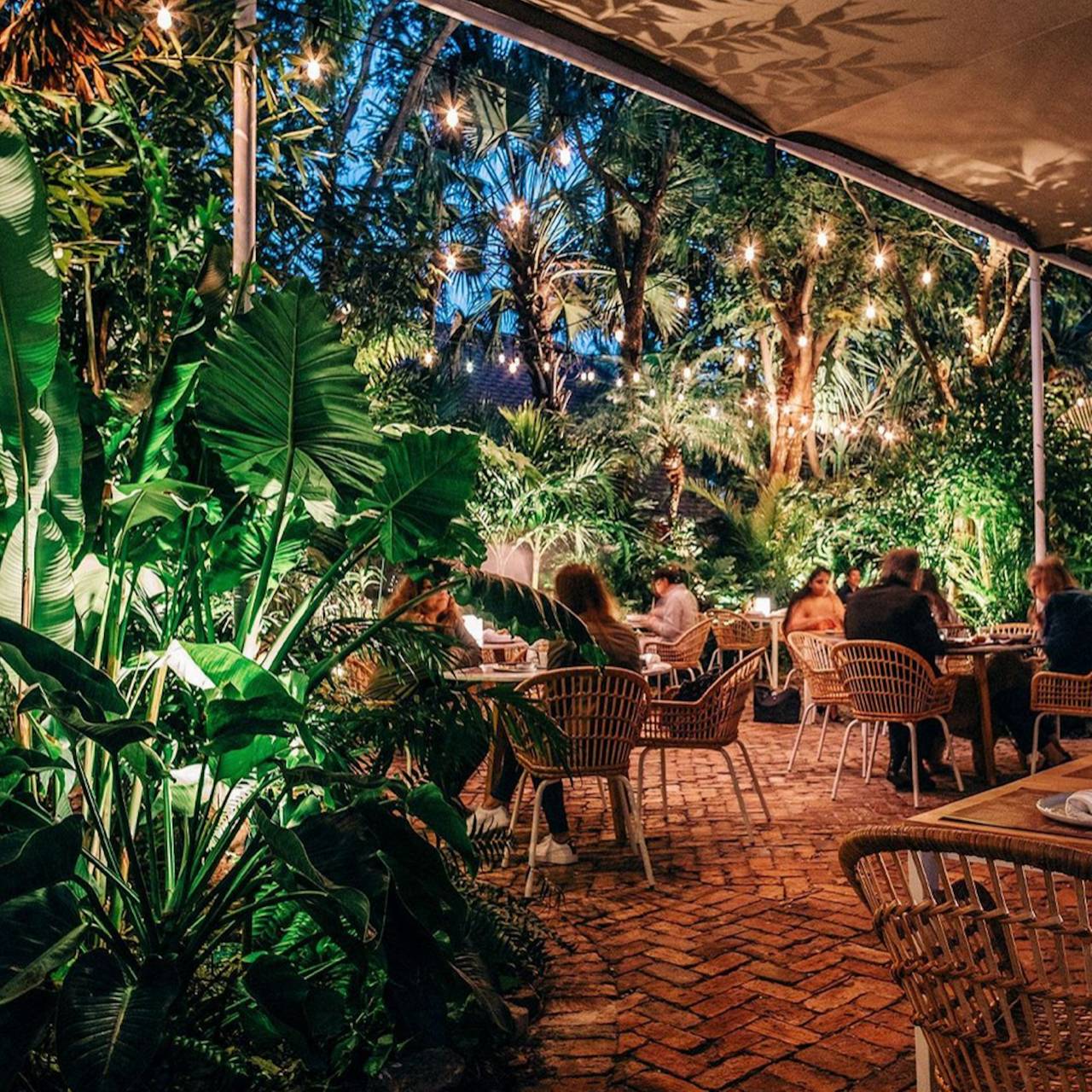 Peacock Garden Restaurant - Miami Fl Opentable