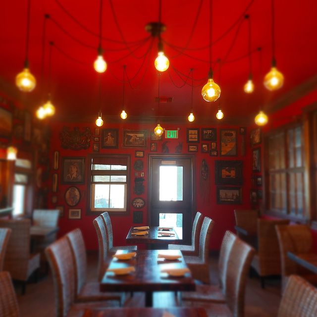 The Safari Club at Alabama Gulf Coast Zoo Updated 2024, American