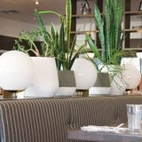 Cover image for Pizzeria Gusto
