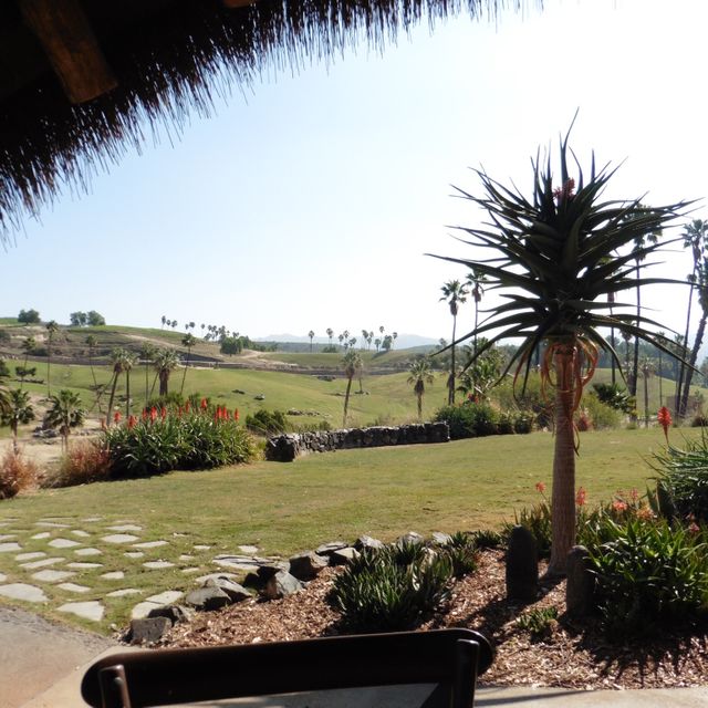 The Watering Hole San Diego Zoo Safari Park Escondido Ca Opentable