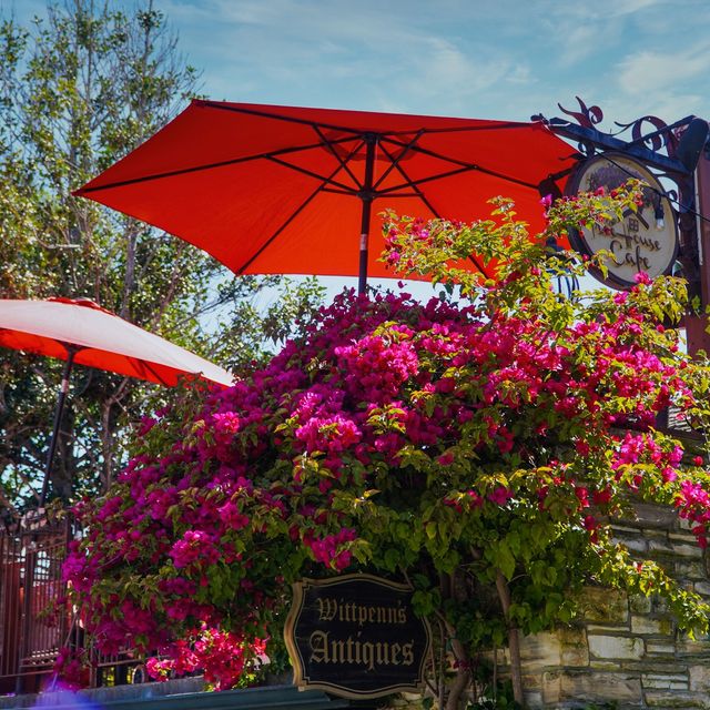 Treehouse Cafe Restaurant Carmel Ca Opentable