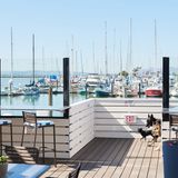 Cover image for The Berkeley Boathouse