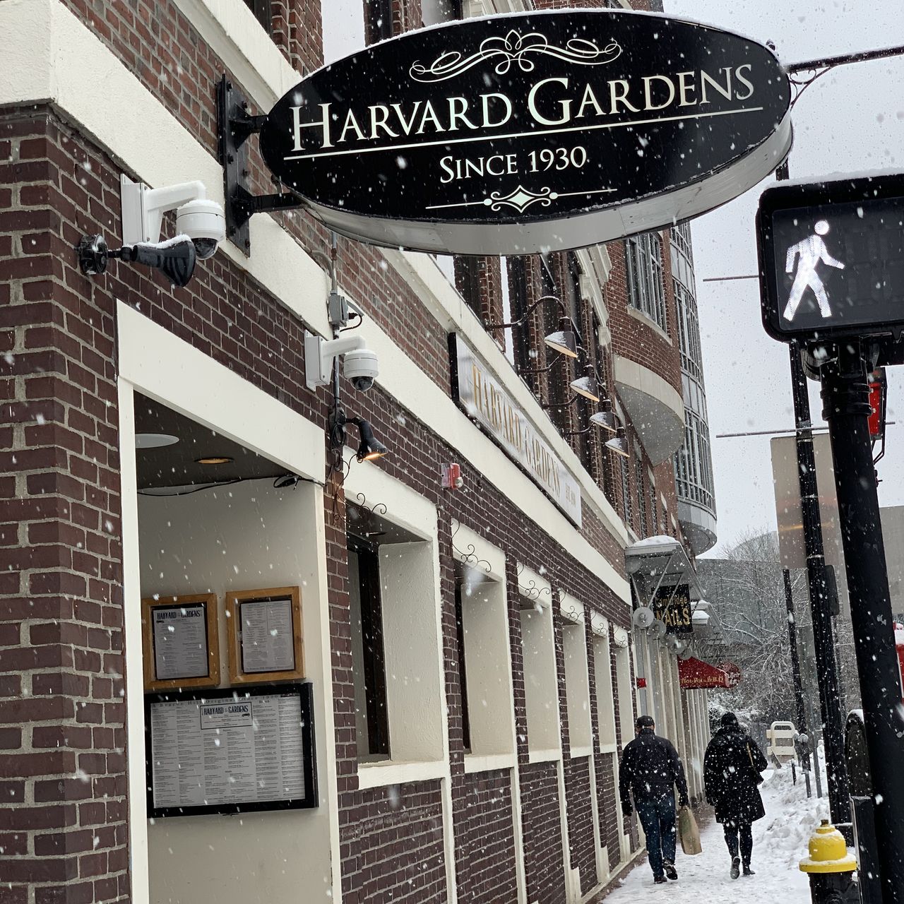 What To Do At Beacon Hill?, Harvard Gardens