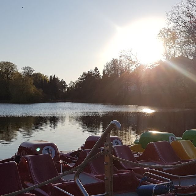 Restaurant Restaurant Pelzmühle Chemnitz, SN OpenTable
