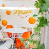 Cover image for Mimosas