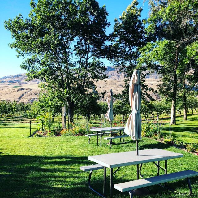 Snowdrift Cider Co. Updated 2024, Winery in East Wenatchee, WA