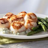 Seasons 52 - Palm Beach Gardens Private Dining