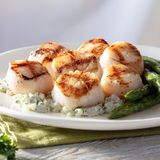 Seasons 52 - Phoenix Private Dining