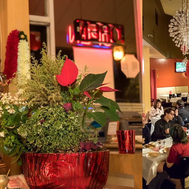 Peacock's Koriander Indian Cuisine Updated 2024, Indian Restaurant in