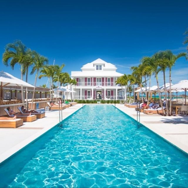 Pink Octopus Restaurant New Providence, Nassau OpenTable