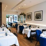 Cover image for Stecca