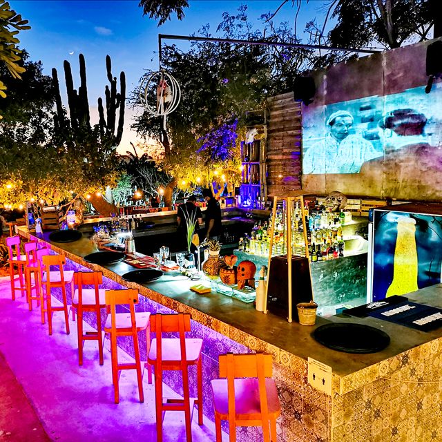 Restaurant Metate Cabo San Lucas, BCS OpenTable