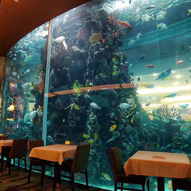 Chart House Restaurant - Golden Nugget - Las Vegas - Las Vegas Nv Opentable