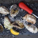 Cover image for Fin Point