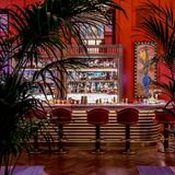 Cover image for The Coral Room