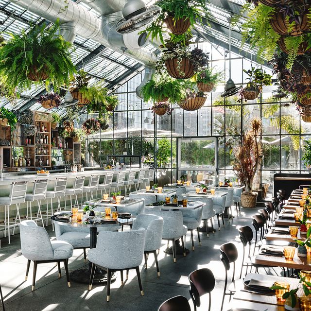 Los Angeles Olive Garden Outdoor Seating Near Me Openaire