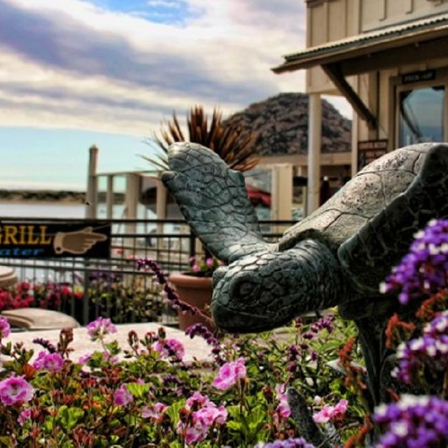 Restaurante Rose's Bar and Grill Morro Bay, CA OpenTable