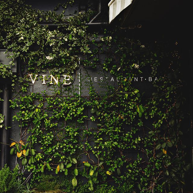 Vine Restaurant Bar - Updated 2025, Italian Restaurant in Brisbane, QLD