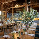Red Barn Dinner Series at the Kelly Way Gardens foto