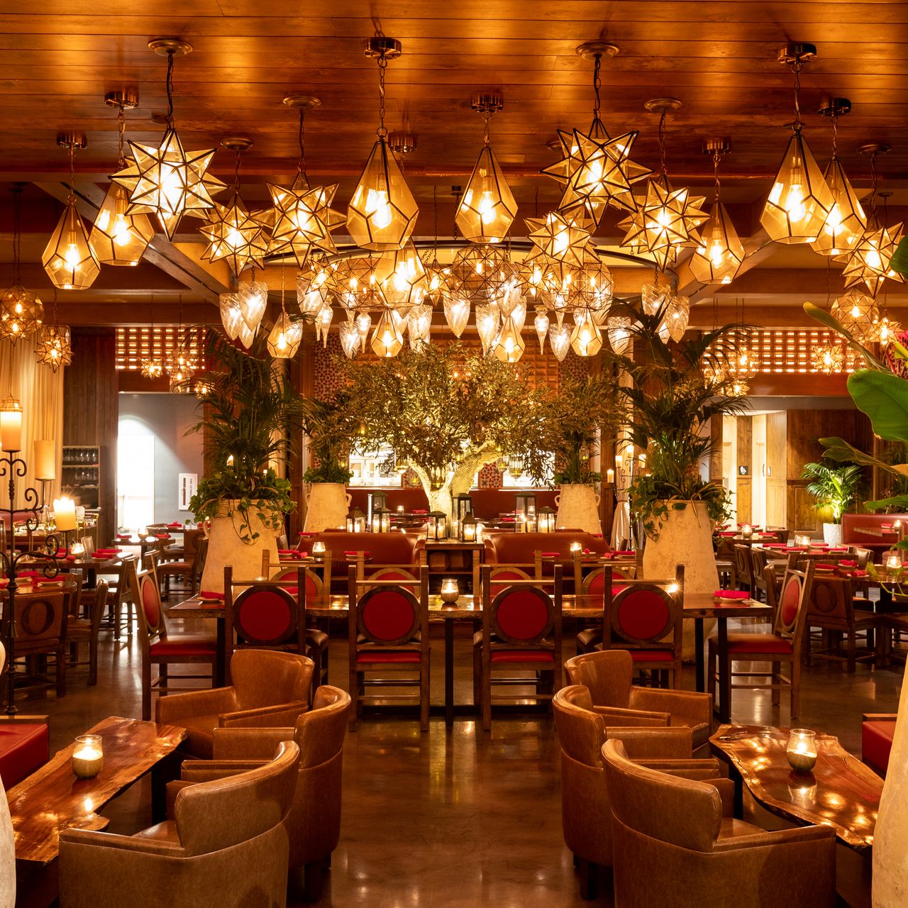 Mand jordnødder aftale RED O Taste of Mexico - La Jolla Restaurant - San Diego, CA | OpenTable