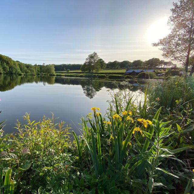 Lakedown Taproom Restaurant - burwash, , east Sussex | OpenTable