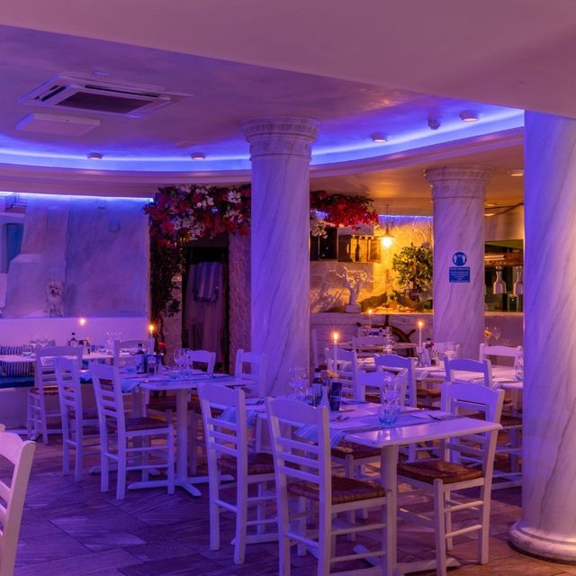 Opa Greek Restaurant, Bristol Updated 2024, Greek Restaurant in