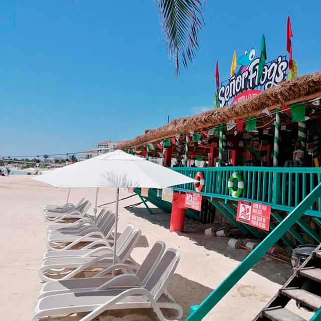 Restaurante Señor Frog´s Playa del Carmen Muelle Playa del Carmen