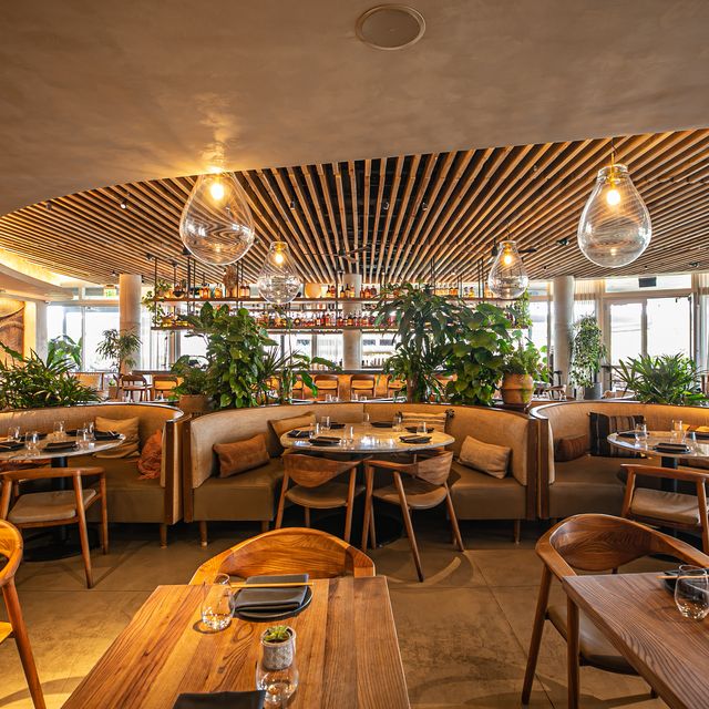 MILA Restaurant - Miami, , FL | OpenTable