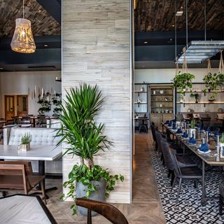 ​ROOTS COASTAL KITCHEN – Wyndham Rio Mar