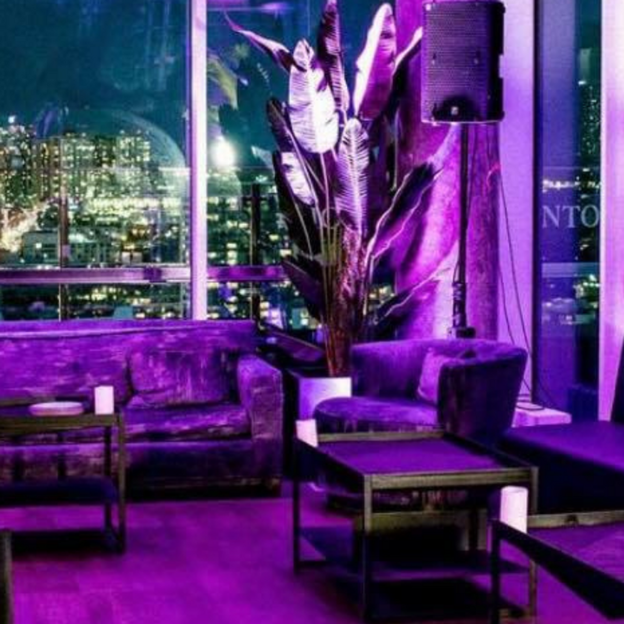 X Lounge at Falcon Skybar Restaurant - Toronto, , ON | OpenTable