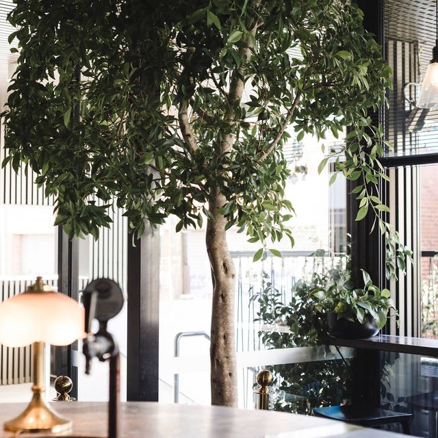 Restaurante Luton Lane Wine Bar Hawthorn, , AUVIC OpenTable