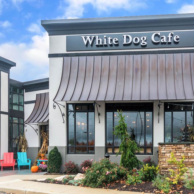 White Dog Cafe Glen Mills Restaurant - Glen Mills, , PA | OpenTable