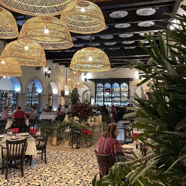 Estoril y Murasaki San Miguel de Allende Restaurant San Miguel de