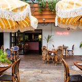Cover image for Rosy Caf at Tropicana