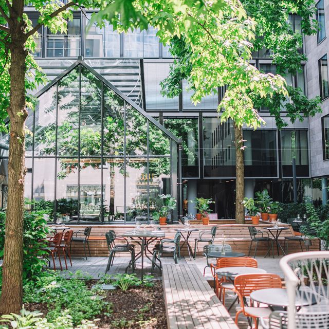 Elaine's Greenhouse Restaurant Frankfurt am Main, , HE OpenTable