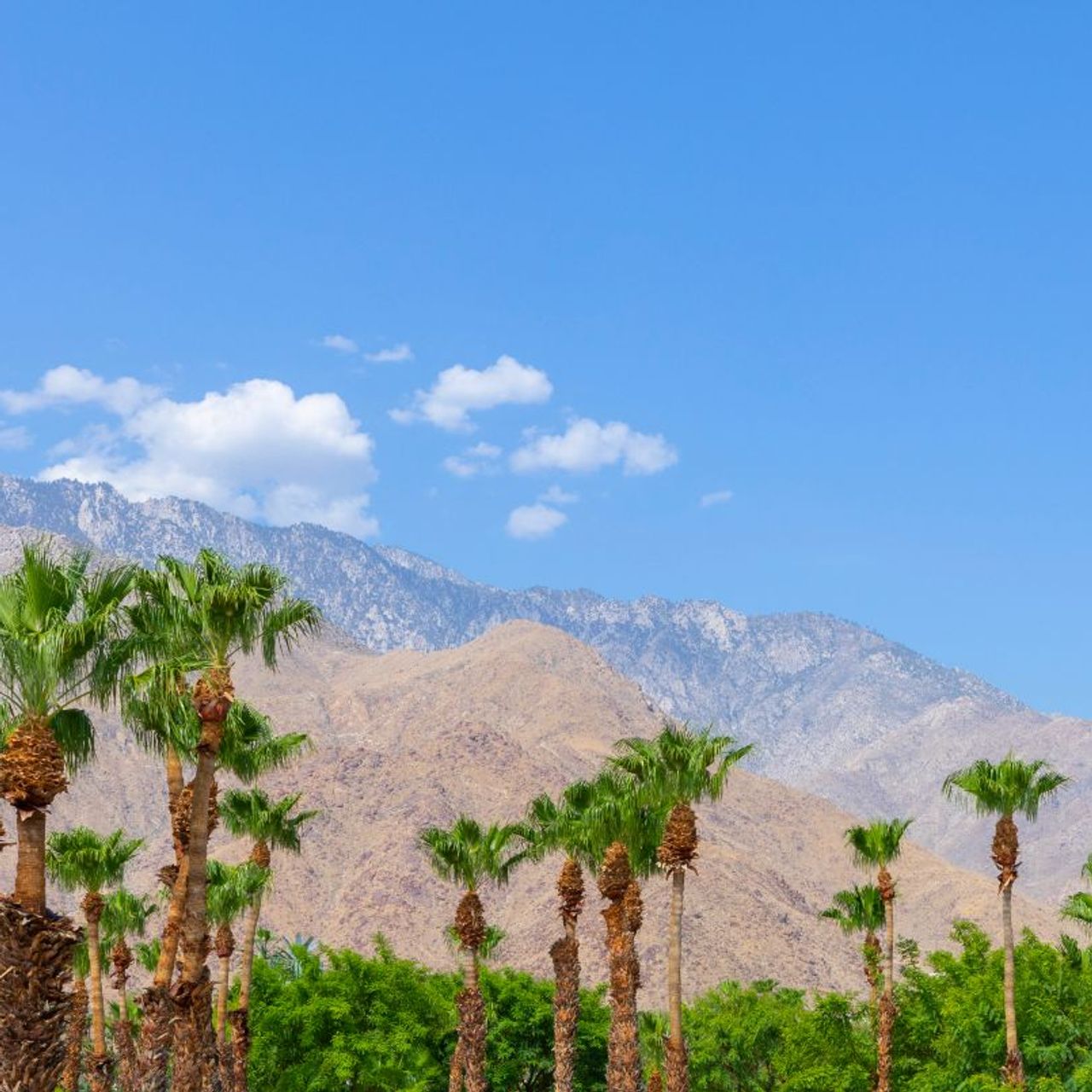Palm Springs California: Where to Stay, Where to Eat and What to Do