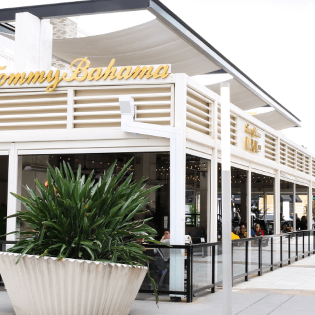 Tommy Bahama Marlin Bar - Jacksonville Restaurant - Jacksonville, FL ...