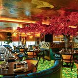 Cover image for The Ivy Asia, Guildford