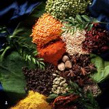 Cover image for The Curry Diva