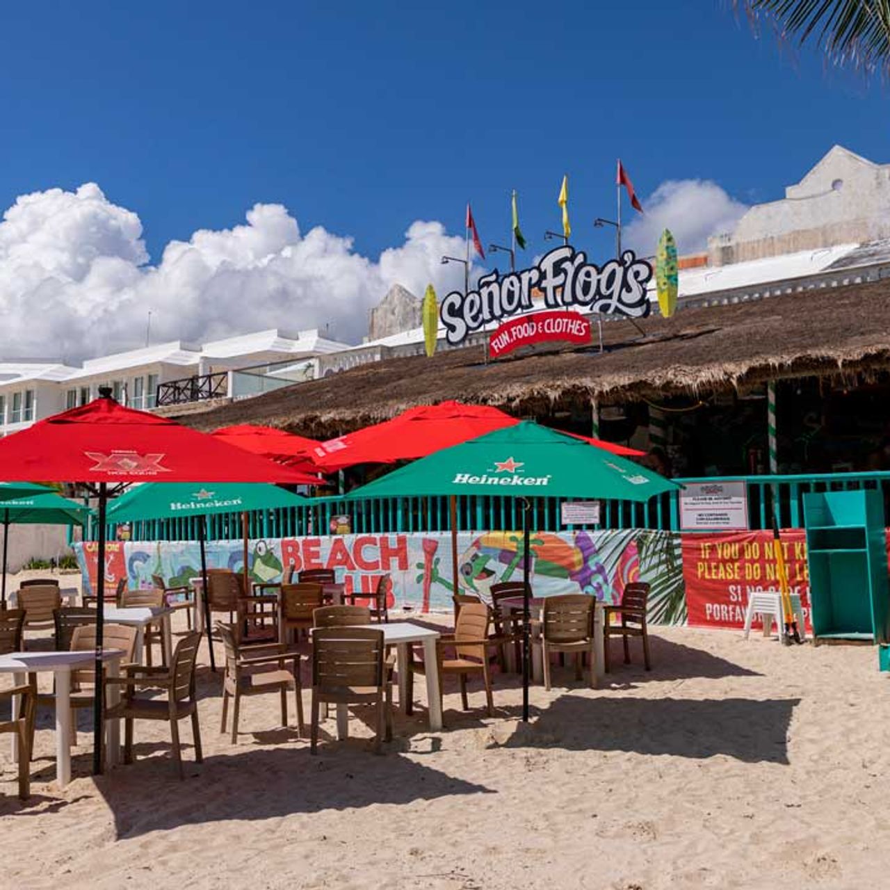 Señor Frog´s - Playa del Carmen Muelle Restaurant - Playa del Carmen, ROO |  OpenTable