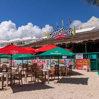 Señor Frog´s - Playa del Carmen Muelle