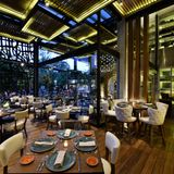 Celebra el Día del Padre en RosaNegra Polanco Photo