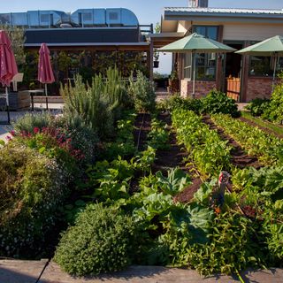 Restaurante acre farm & eatery - Melbourne - Burwood East, , AU