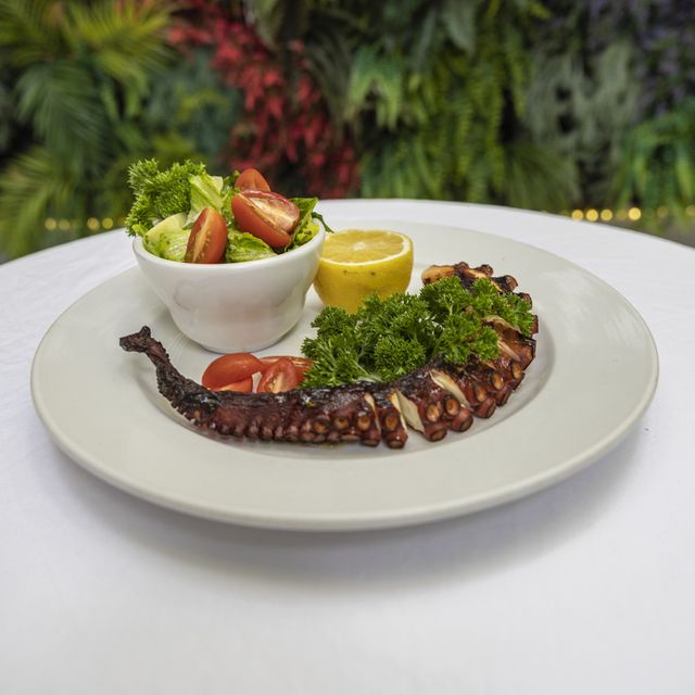 Rakija Lounge Restaurant Miami Beach, FL OpenTable