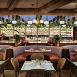 Cover image for Sadelle's at Coconut Grove