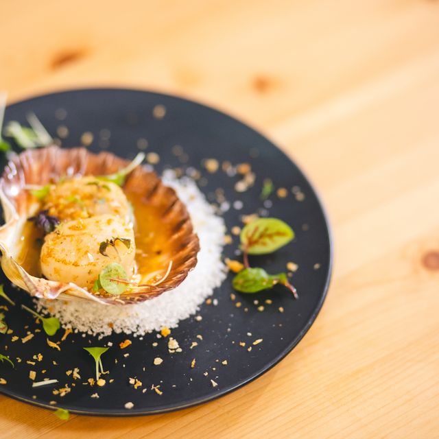 Ichi Updated 2024, Japanese Restaurant in Port Macquarie, AUNSW